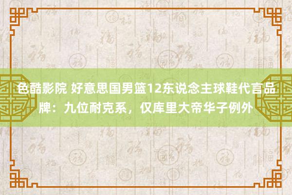 色酷影院 好意思国男篮12东说念主球鞋代言品牌：九位耐克系，仅库里大帝华子例外