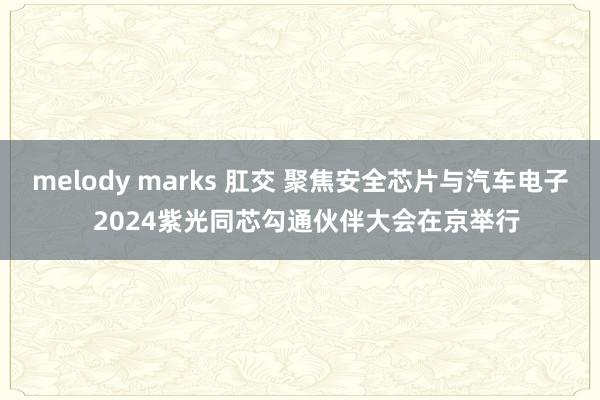 melody marks 肛交 聚焦安全芯片与汽车电子  2024紫光同芯勾通伙伴大会在京举行