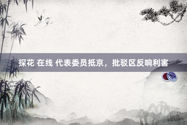 探花 在线 代表委员抵京，批驳区反响利害