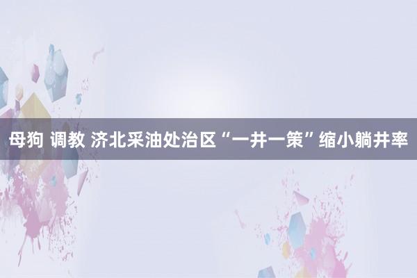 母狗 调教 济北采油处治区“一井一策”缩小躺井率