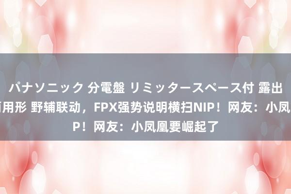 パナソニック 分電盤 リミッタースペース付 露出・半埋込両用形 野辅联动，FPX强势说明横扫NIP！网友：小凤凰要崛起了