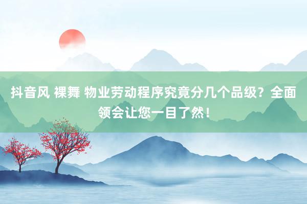 抖音风 裸舞 物业劳动程序究竟分几个品级？全面领会让您一目了然！