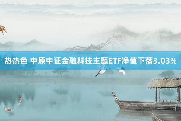热热色 中原中证金融科技主题ETF净值下落3.03%
